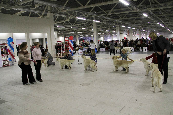 IMG_1320