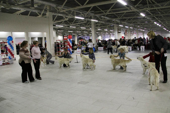 IMG_1321