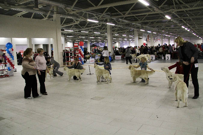 IMG_1322
