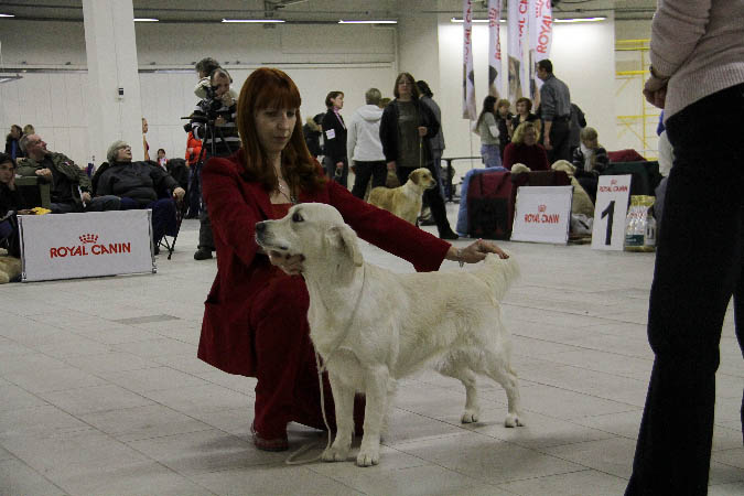IMG_1338