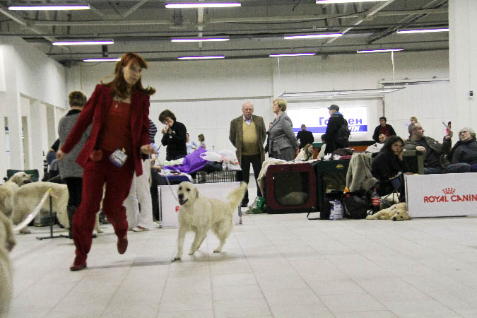 IMG_1356
