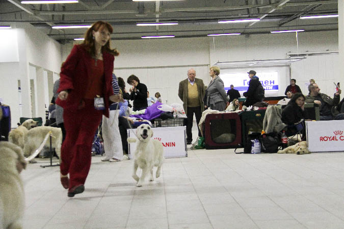 IMG_1358
