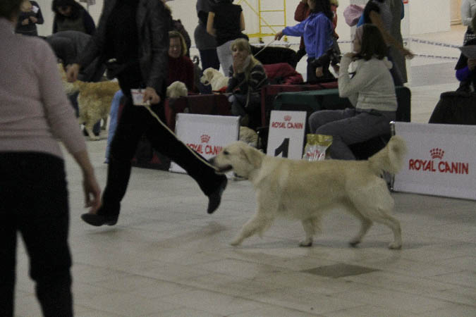 IMG_1371