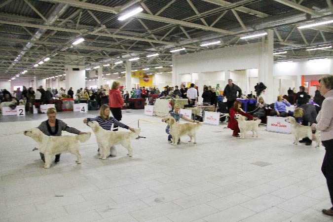 IMG_1400