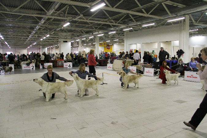 IMG_1402