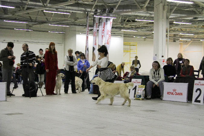IMG_1536