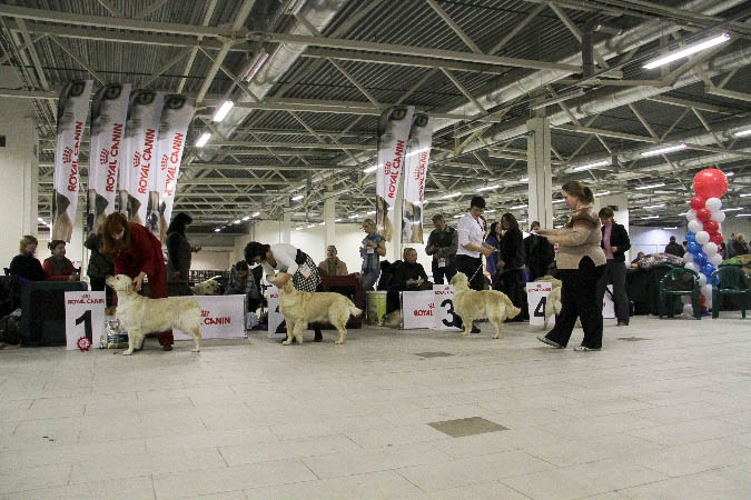 IMG_1618