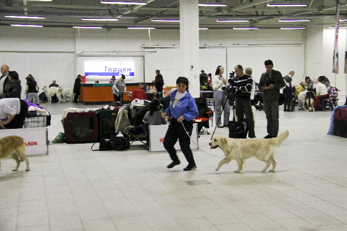IMG_1756