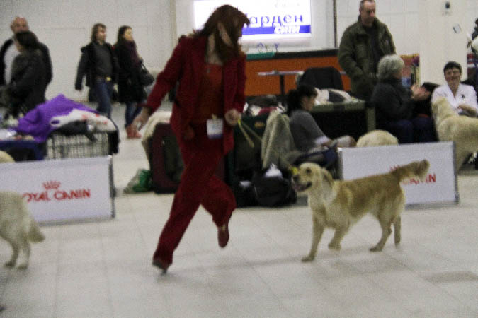 IMG_1803