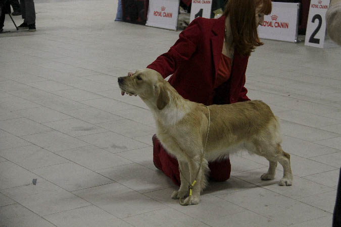 IMG_1846