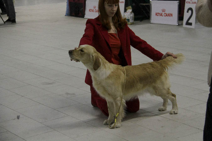 IMG_1849