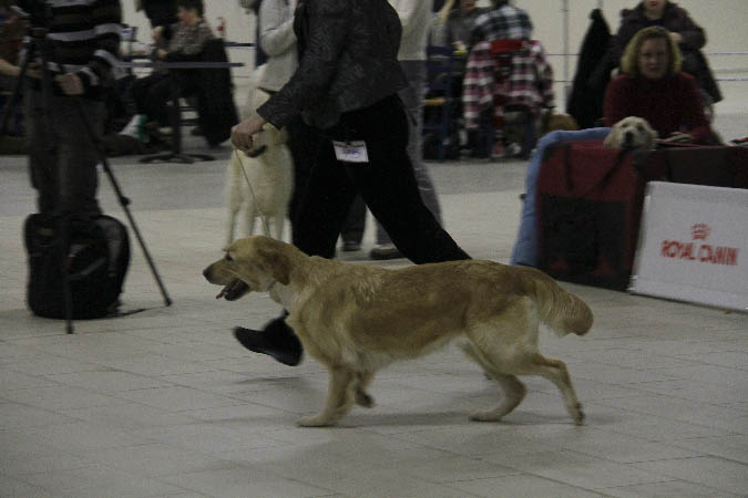 IMG_1871