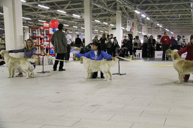 IMG_1899