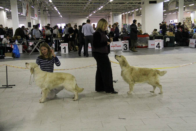 IMG_1952