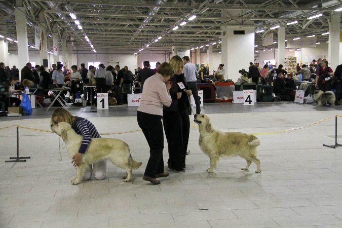 IMG_1955