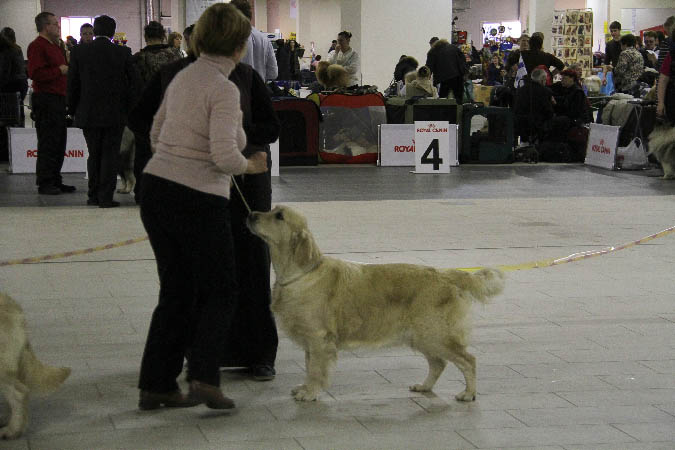 IMG_1962
