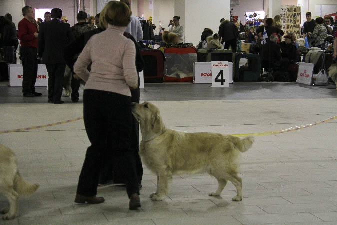 IMG_1963