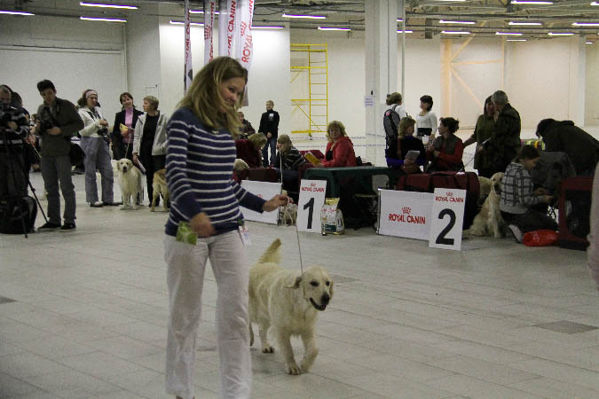 IMG_1977
