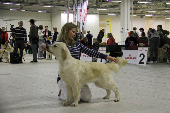 IMG_2013