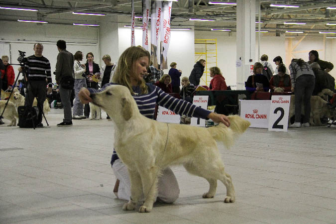 IMG_2014