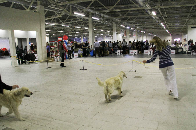 IMG_2040