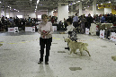 IMG_1588