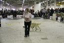 IMG_1591