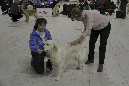 IMG_1746