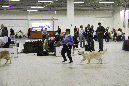 IMG_1756