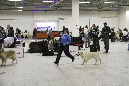 IMG_1757