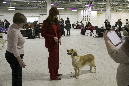 IMG_1768