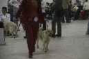 IMG_1776