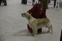 IMG_1845