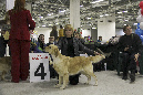 IMG_1931