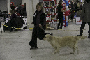 IMG_1940