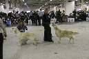 IMG_1950