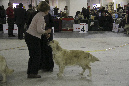 IMG_1961