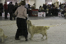 IMG_1963